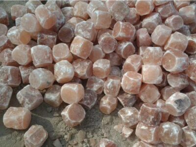 animal salt